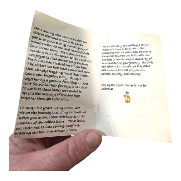 Sunshine Bears Plush "Radd" Blue Teddy Star-Spangled Sailor Boy Outfit & Tag - Picture 4 of 5